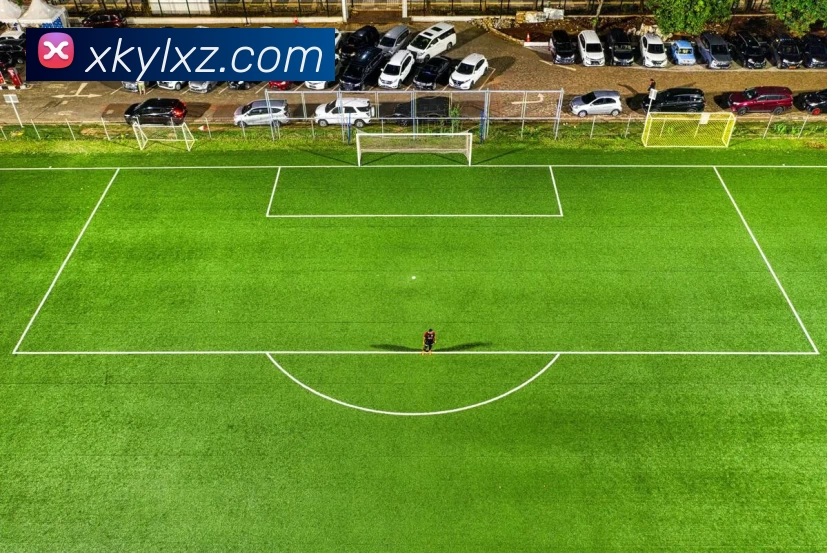 星空娱乐app服务体系